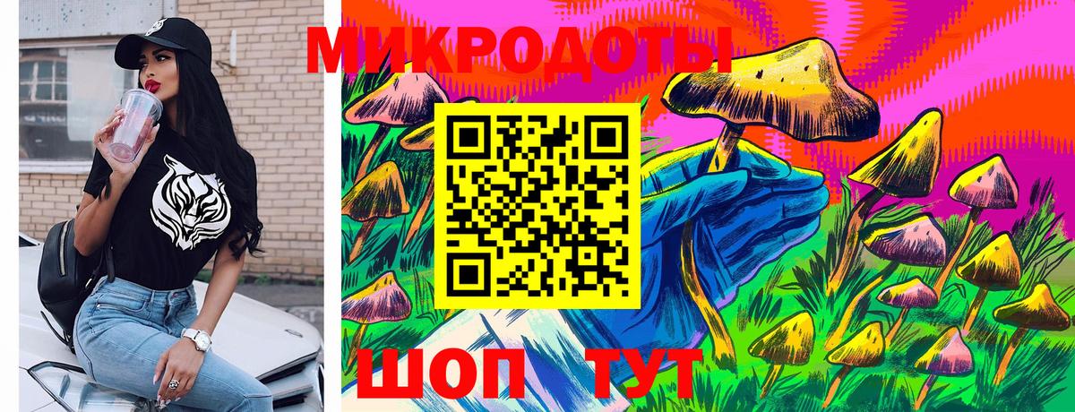 Псилоцибиновые грибы Cubensis Красноуфимск