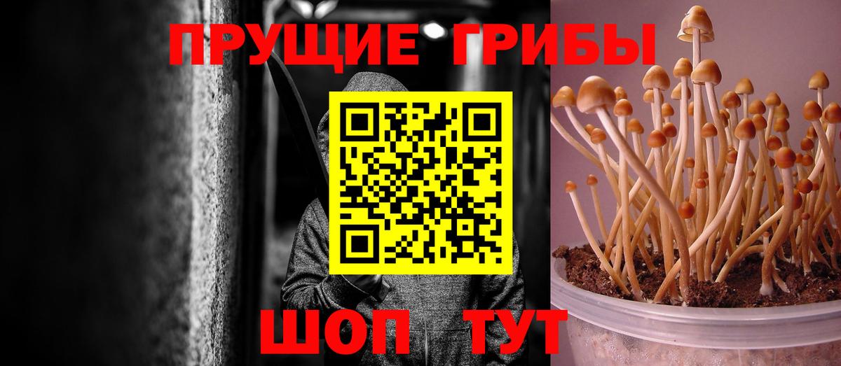 хочу наркоту  Псилоцибиновые грибы Cubensis  Вход с VPN  Красноуфимск 